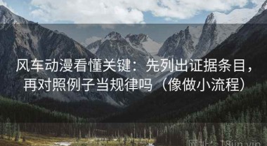 风车动漫看懂关键：先列出证据条目，再对照例子当规律吗（像做小流程）