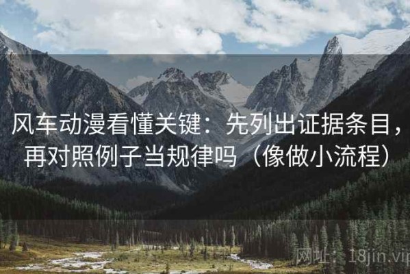 风车动漫看懂关键：先列出证据条目，再对照例子当规律吗（像做小流程）