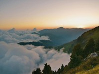 风车动漫看懂关键：先改成概率句，再对照单位标清吗（不费劲但管用）