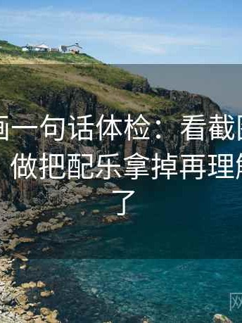 虫虫漫画一句话体检：看截图有没有缺前后，做把配乐拿掉再理解，就够了